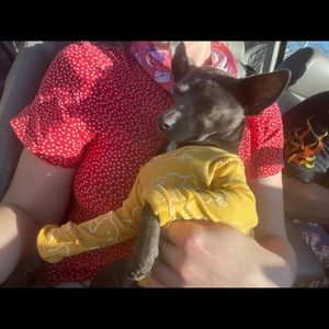 Meet your Posher, Torrey